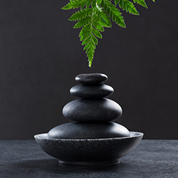 Hot Stone Massage Therapy